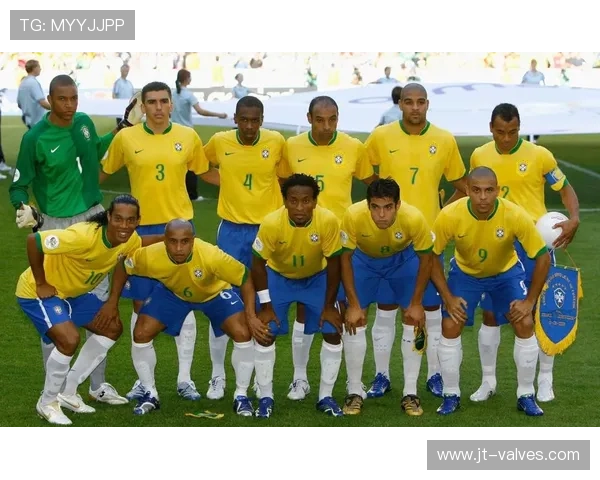 2010世界杯国家资料(2010世界杯参赛队)sports